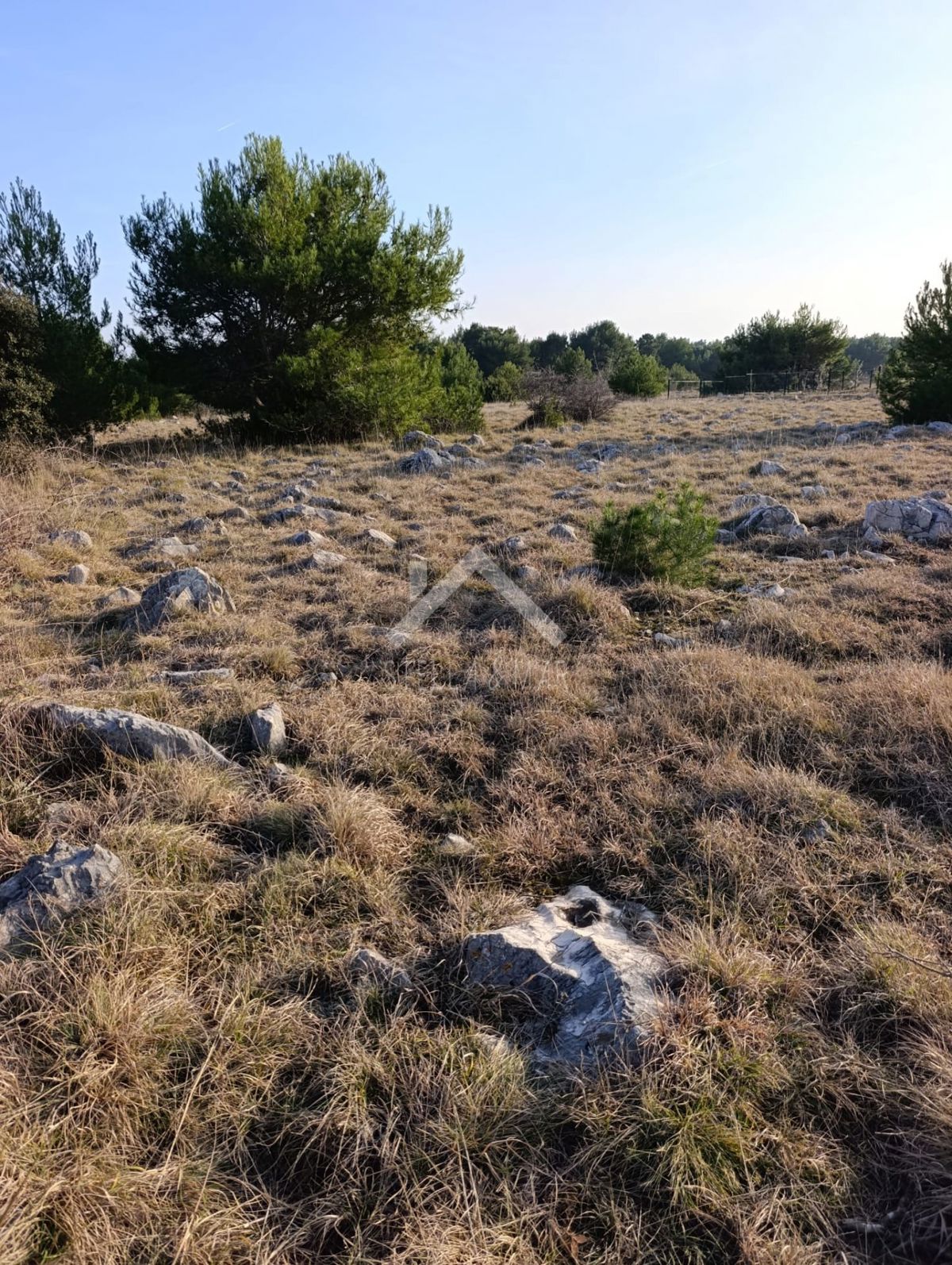 Land For sale - Zadarska Vir - foto 3/5