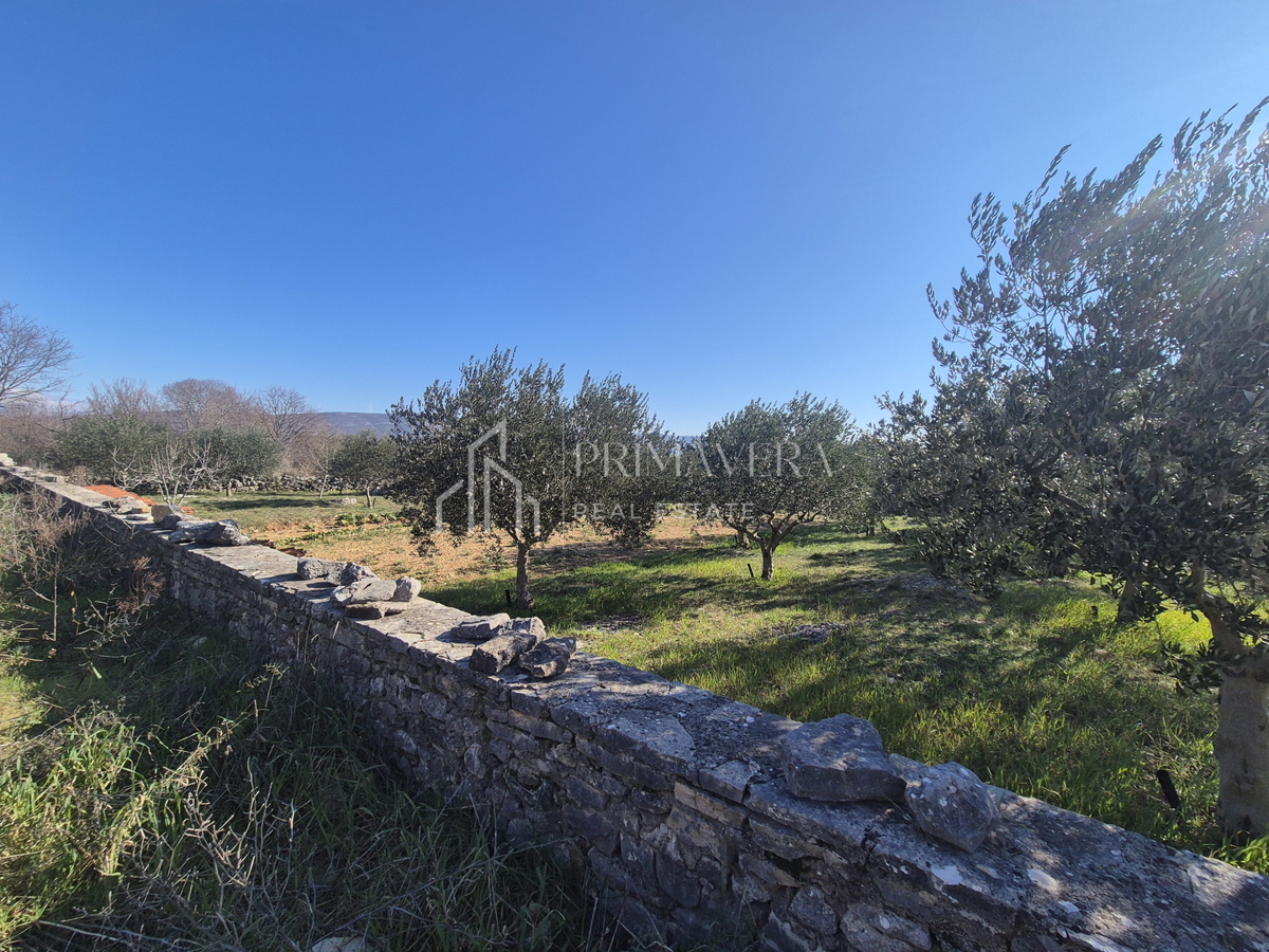 Land For sale - Zadarska Novigrad - foto 1/5