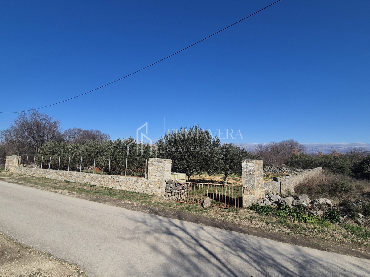Land For sale - Zadarska Novigrad - foto 2/5