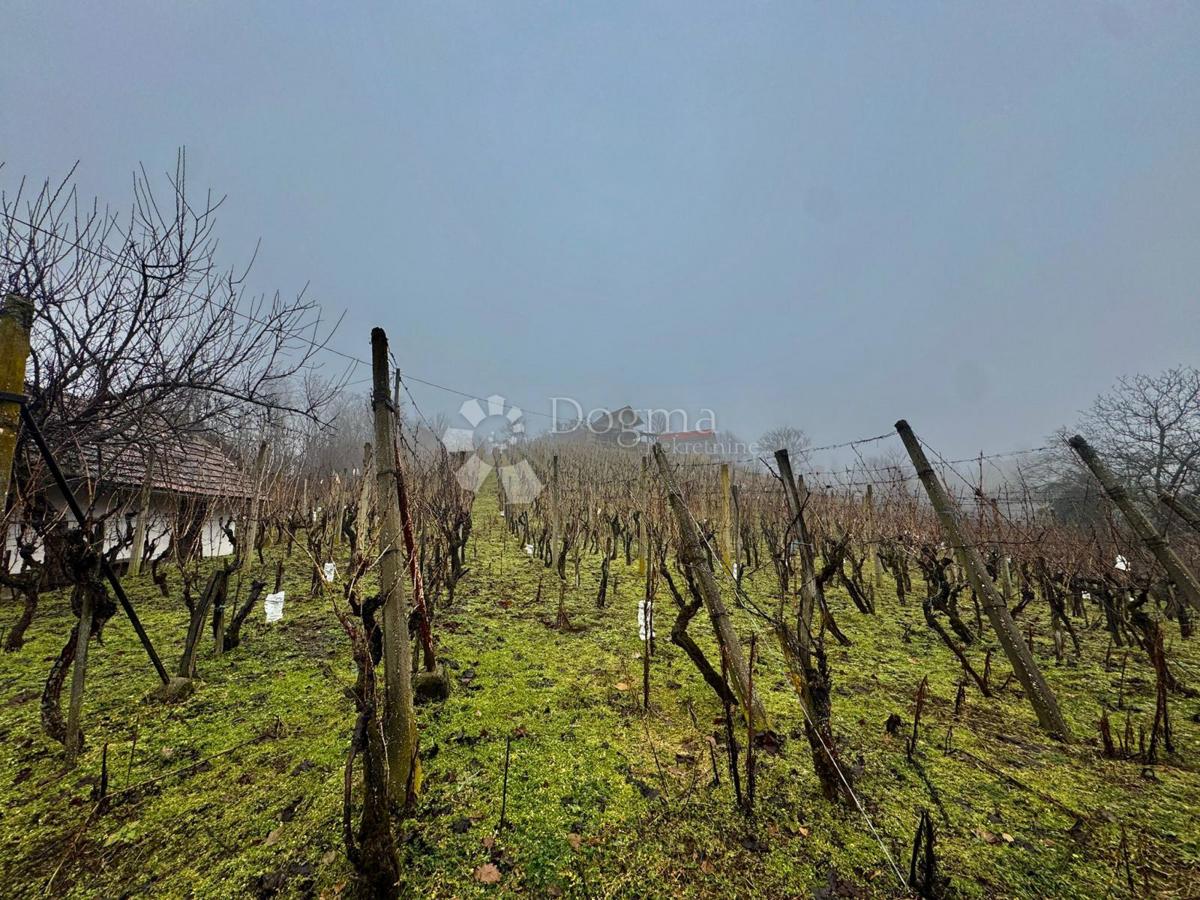 Dom Na sprzedaż - Varaždinska Cestica - foto 4/9