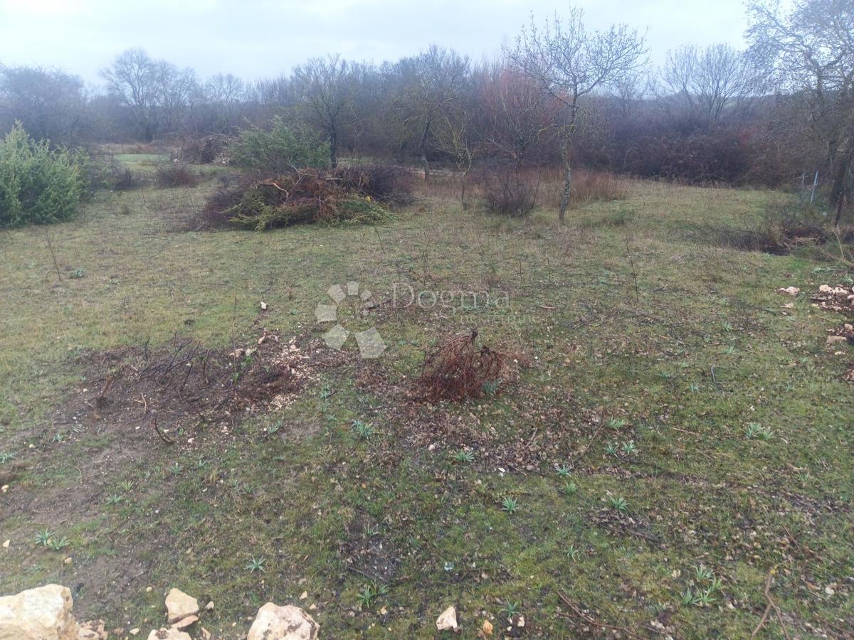 Terrain À vendre - Zadarska Poličnik - foto 1/2