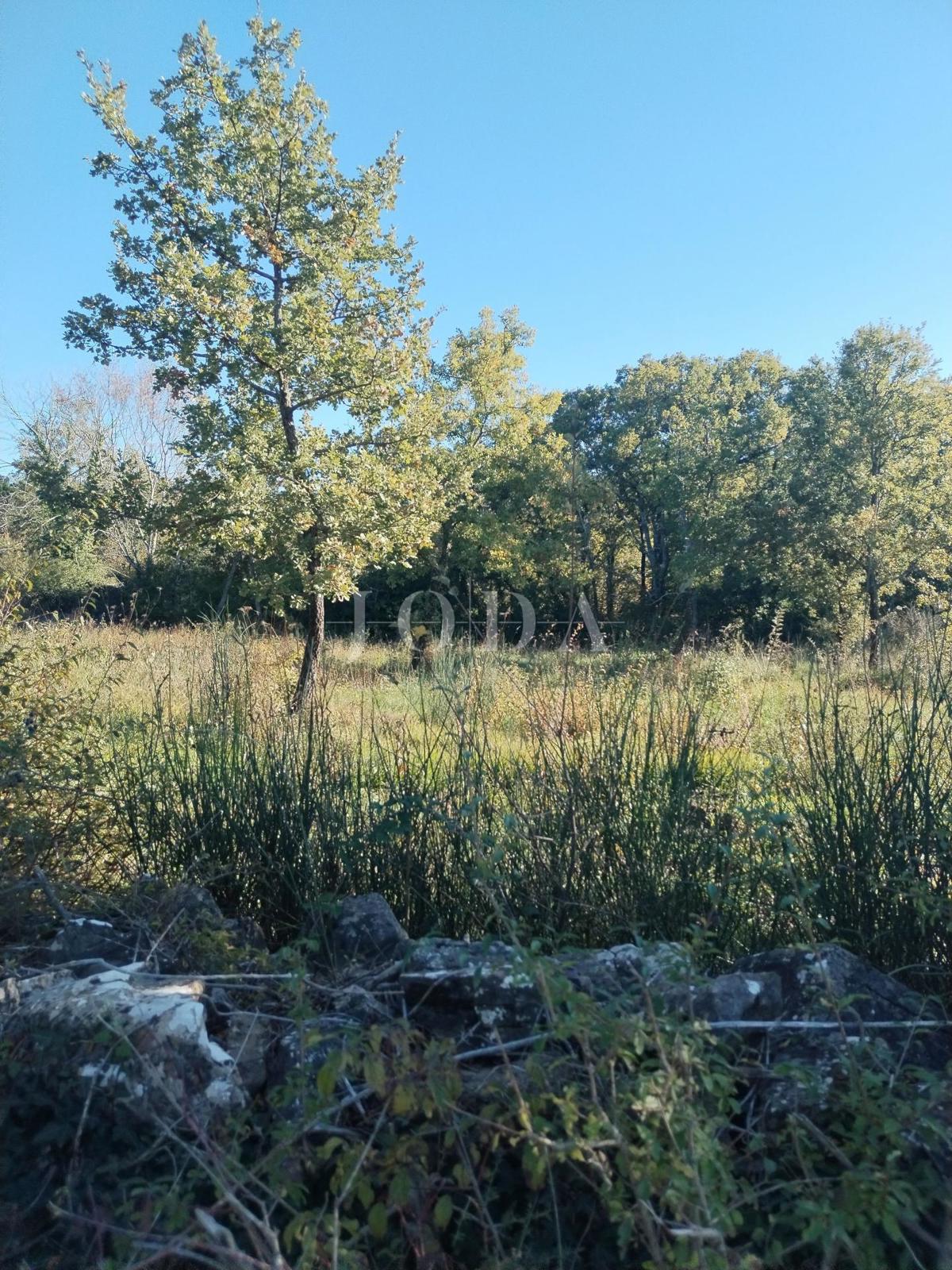 Land For sale - ISTARSKA LABIN