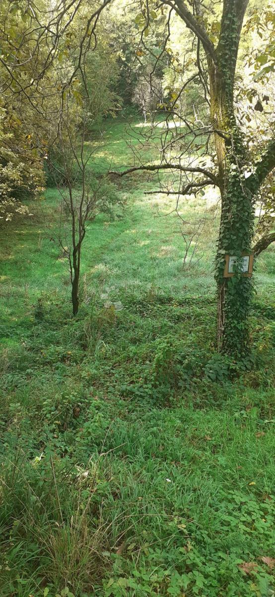 Terreno In vendita - Grad Zagreb Zagreb - foto 1/2