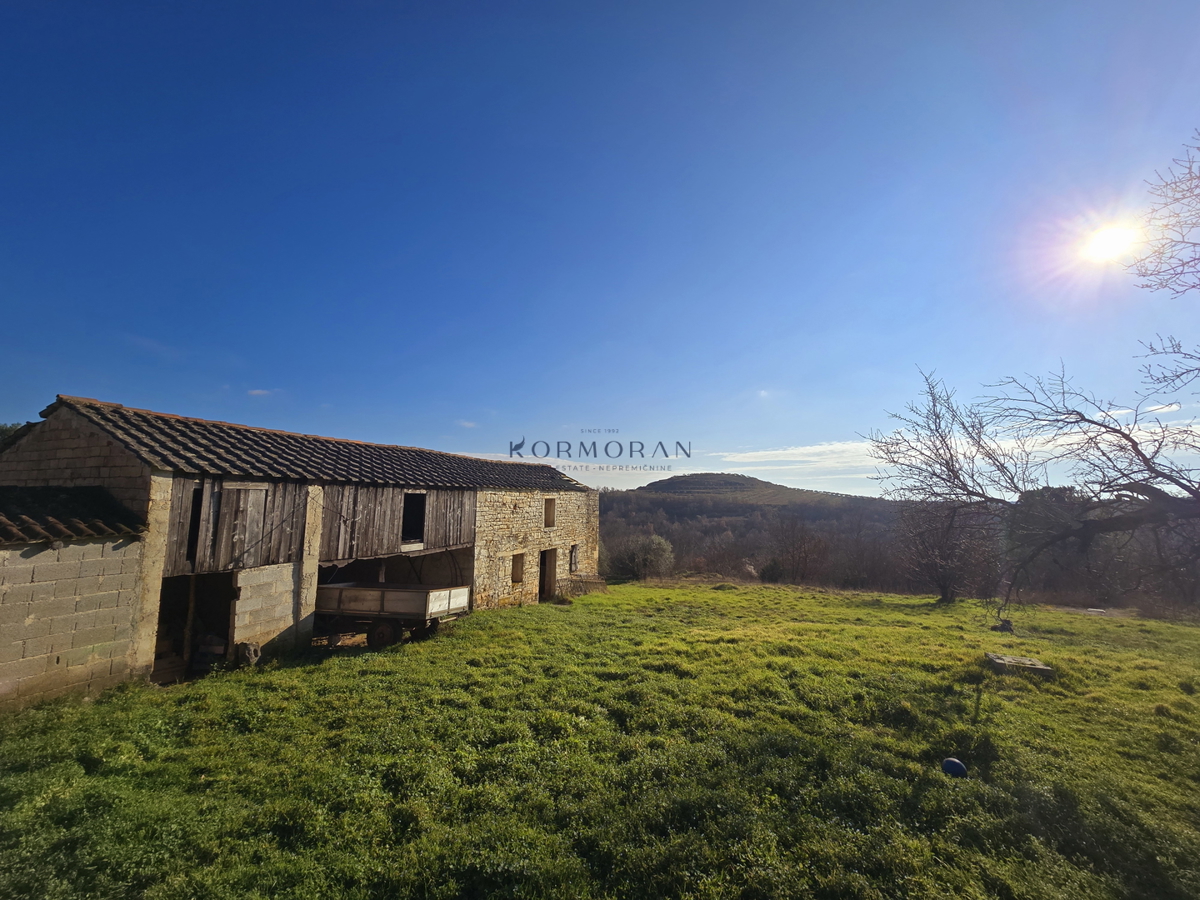 House For sale - ISTARSKA BUJE