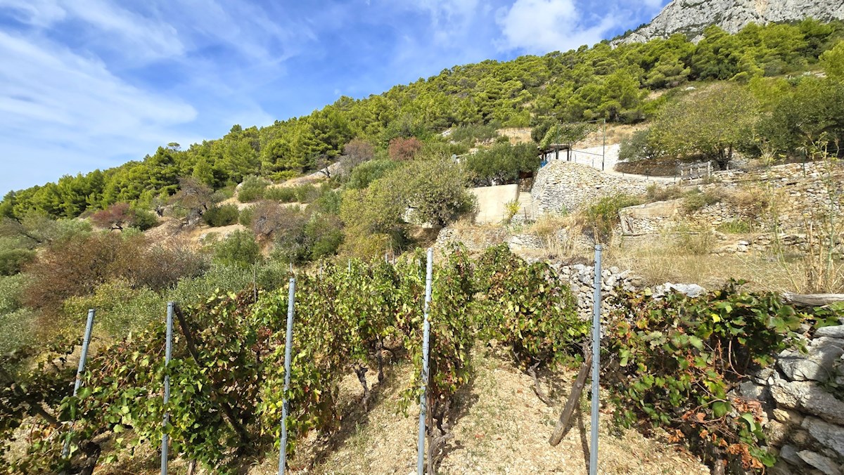 Casa In vendita - SPLITSKO-DALMATINSKA HVAR