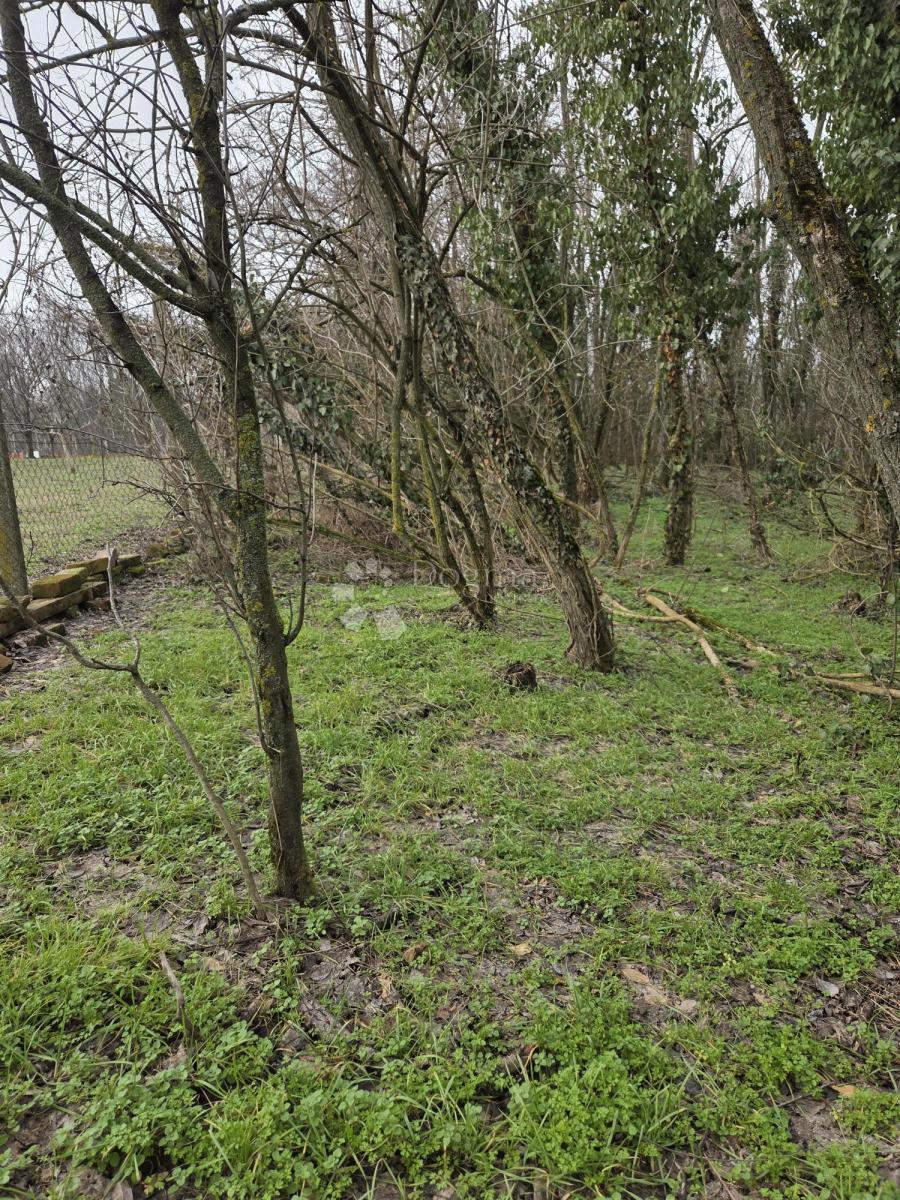 Terrain À vendre - Osječko-baranjska Erdut - foto 2/5