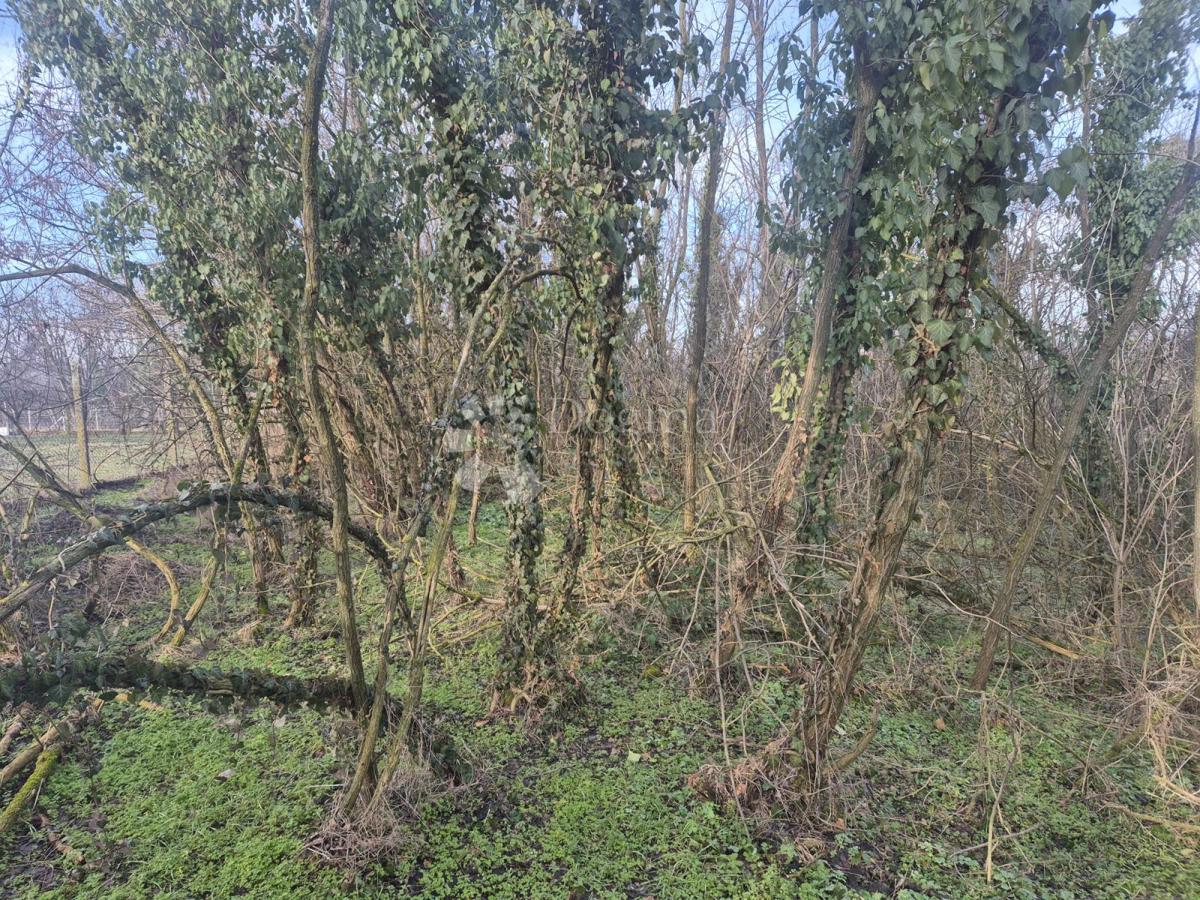 Terrain À vendre - Osječko-baranjska Erdut - foto 4/5