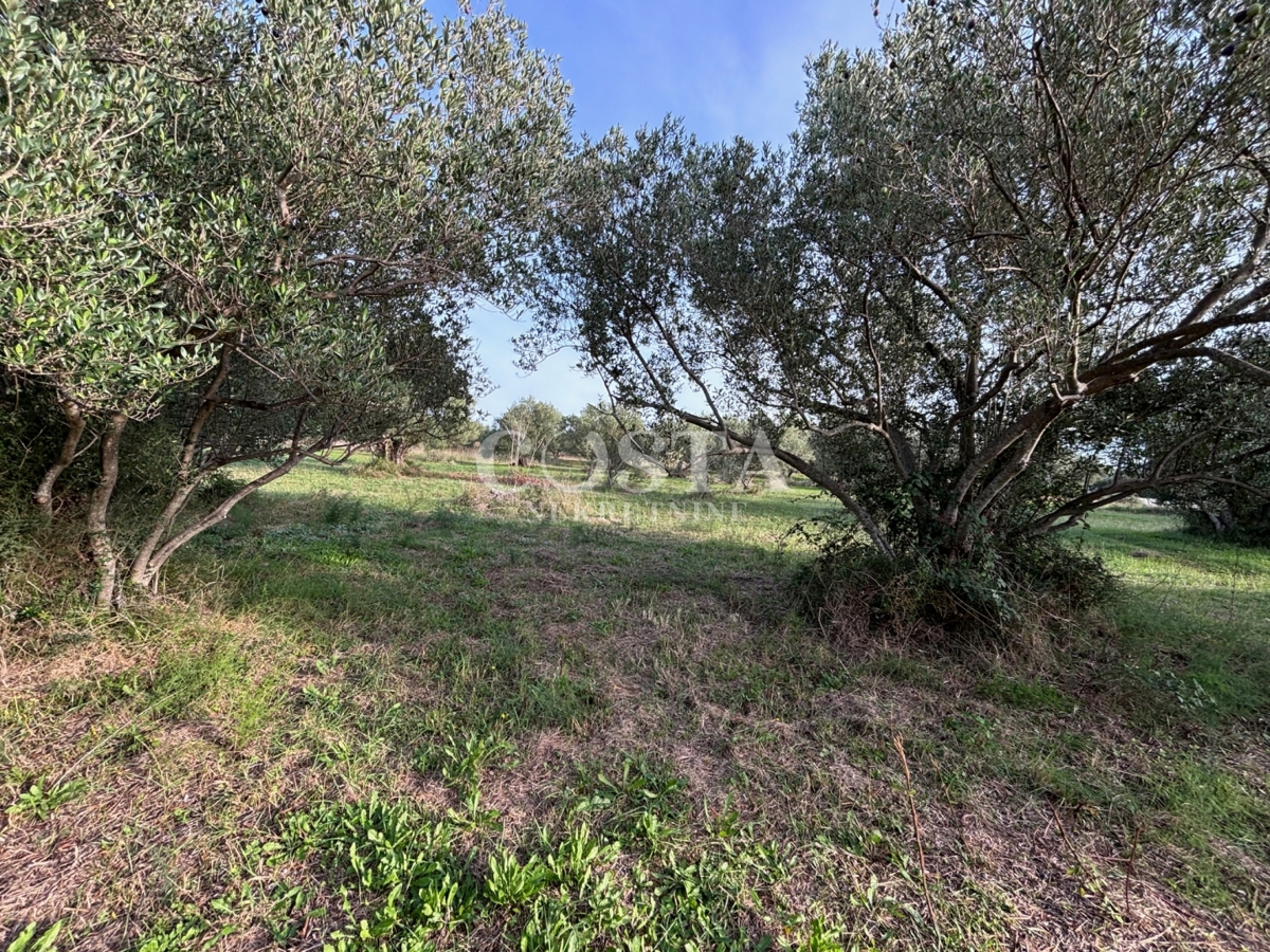 Land For sale - ZADARSKA SVETI FILIP I JAKOV