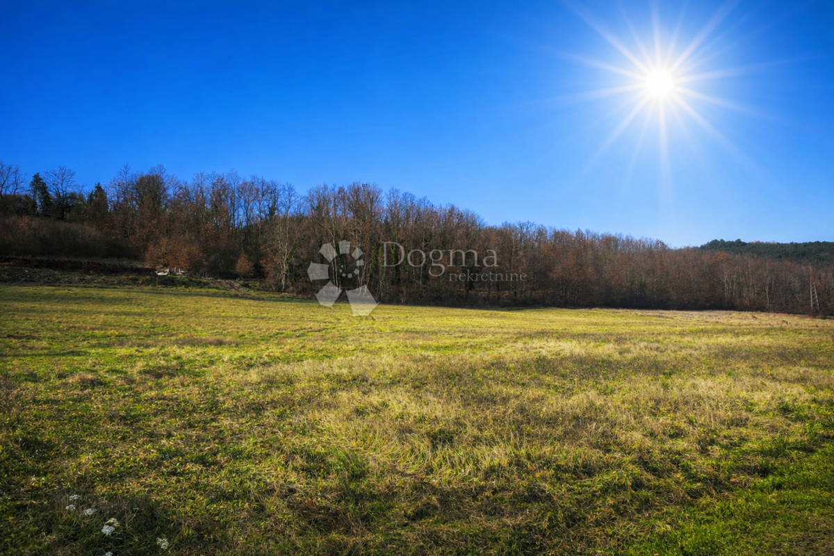 Grundstück Zu verkaufen - Istarska Pazin - foto 1/2