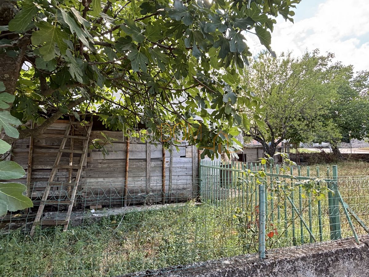 Haus Zu verkaufen - Istarska Marčana - foto 3/17