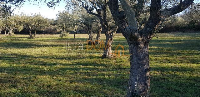Land For sale - Istarska Marčana - foto 1/3