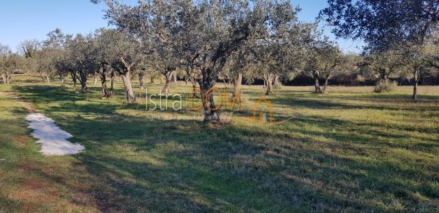 Land For sale - Istarska Marčana - foto 3/3