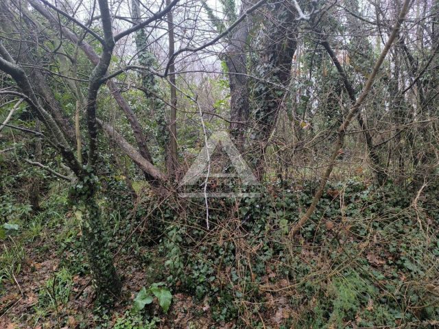 Land for sale 3300 m² – Umag