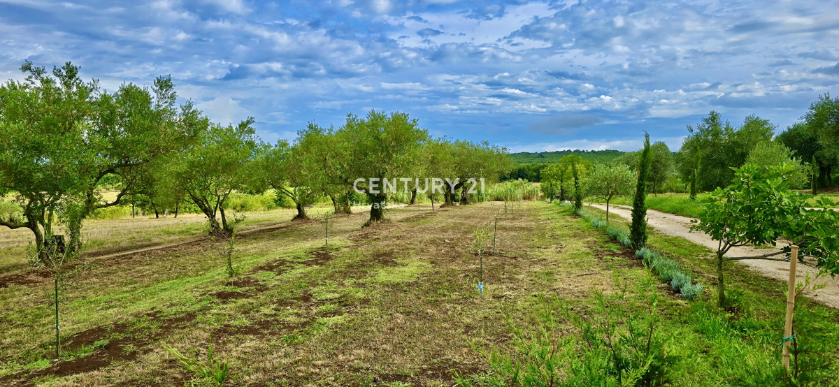 Maison À vendre - ISTARSKA UMAG
