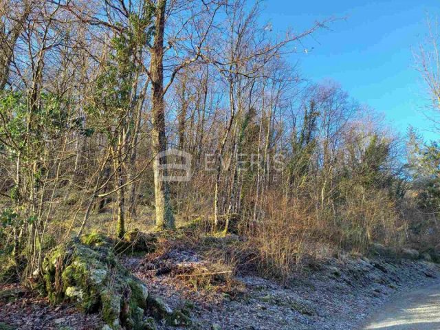 Pozemok na predaj 5387 m² – Matulji