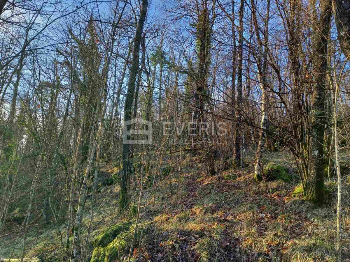 Parcela Na predaj - Primorsko-goranska Matulji - foto 2/3