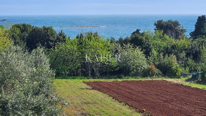 Terreno in vendita 5557 m² – Umag