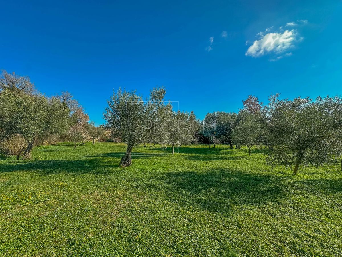 House For sale - ISTARSKA BRTONIGLA