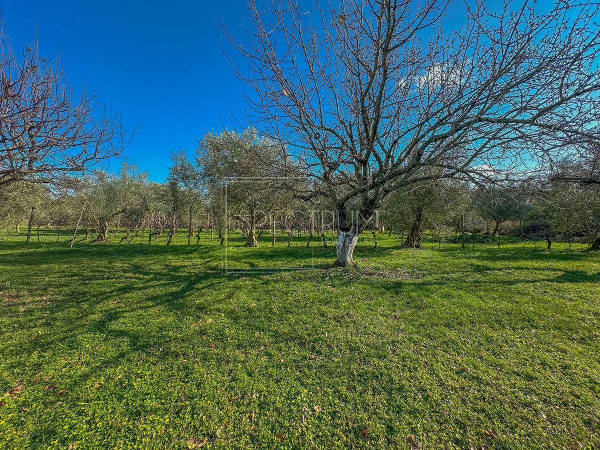 House For sale - ISTARSKA BRTONIGLA