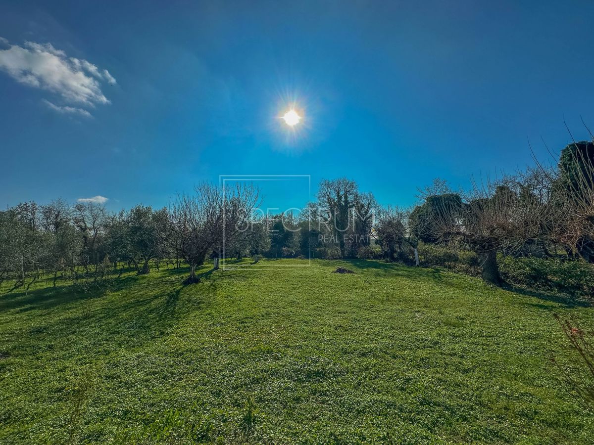 House For sale - ISTARSKA BRTONIGLA