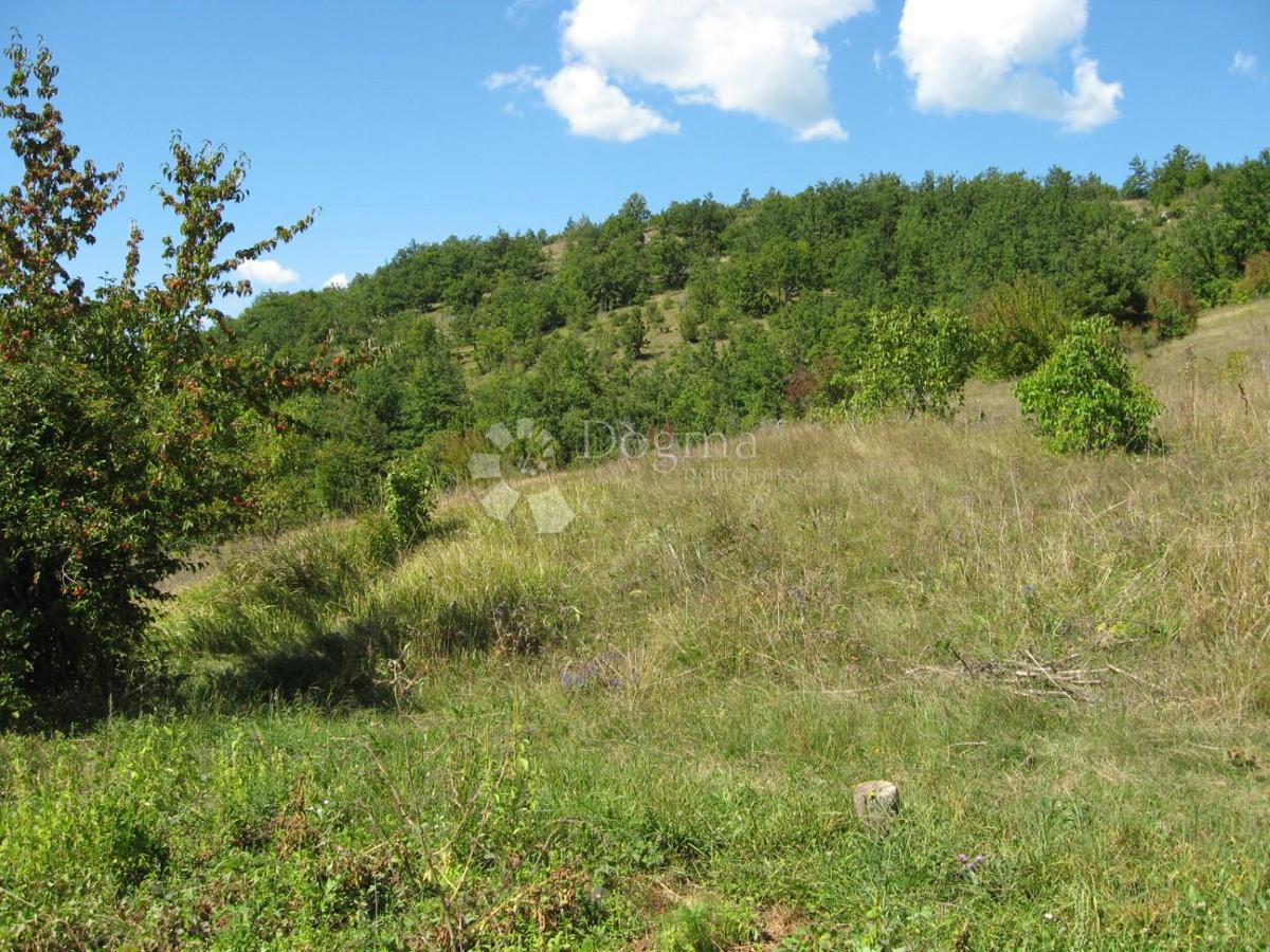 Dům Na prodej - Zadarska Gračac - foto 4/6