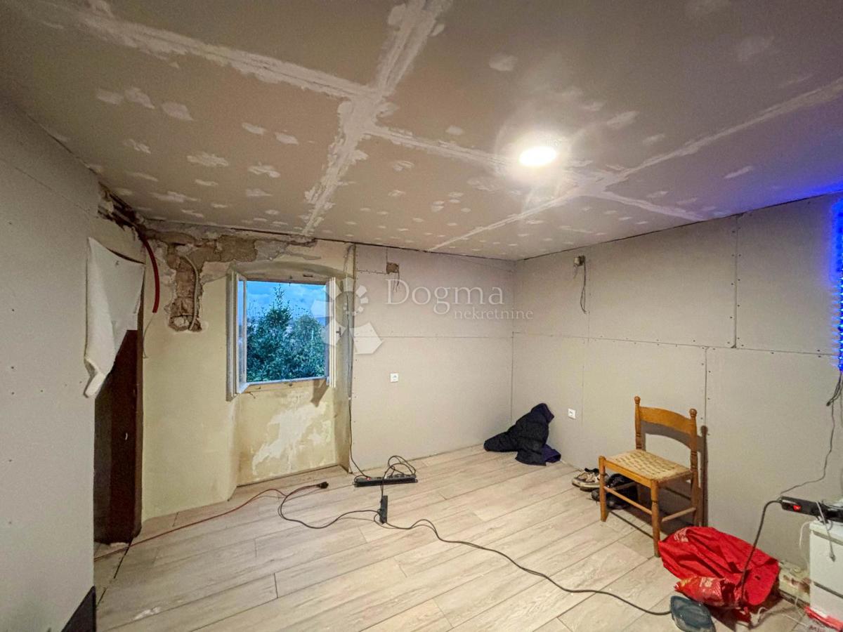 House For sale - ISTARSKA PAZIN