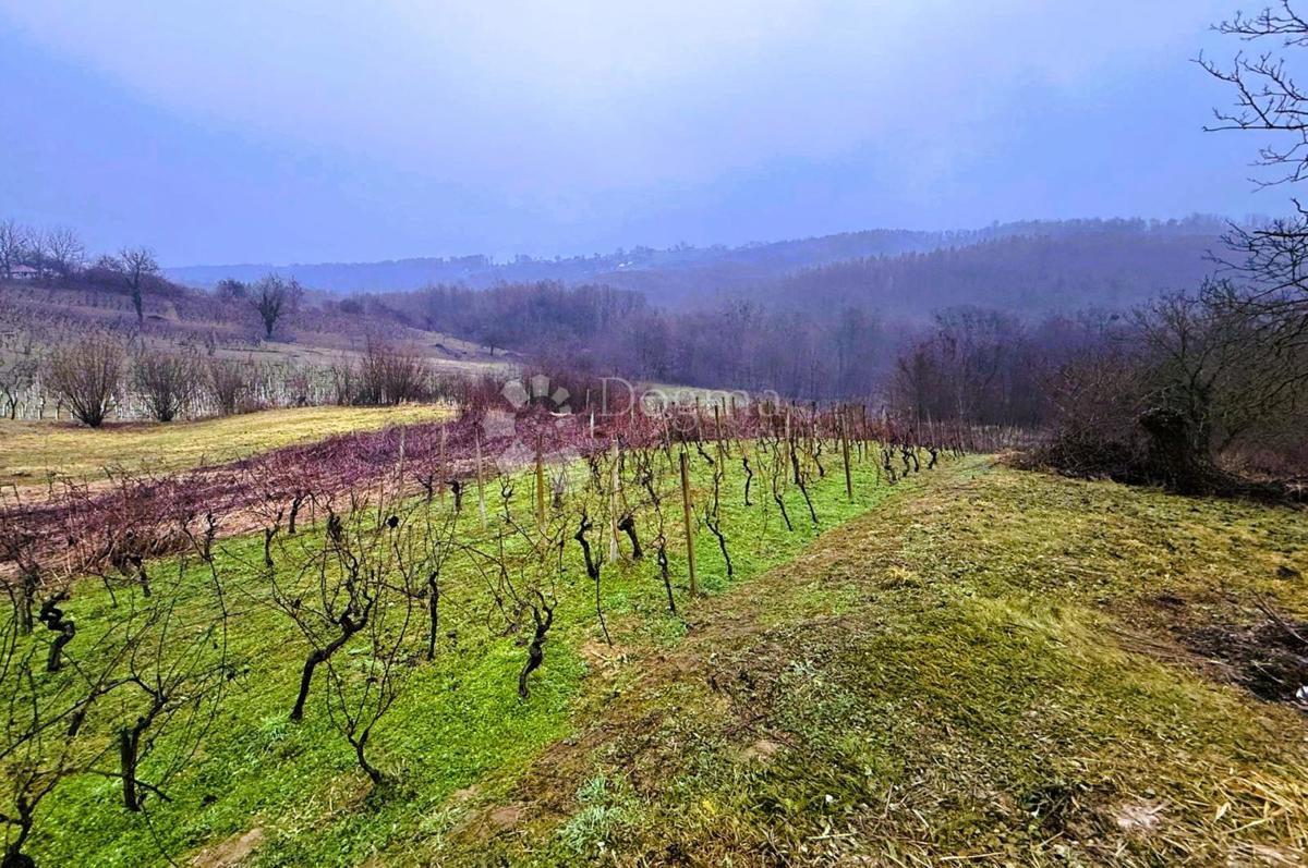 Maison À vendre - VARAŽDINSKA JALŽABET