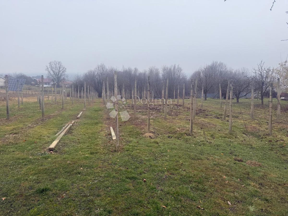 Hiša Na predaj - MEĐIMURSKA GORNJI MIHALJEVEC