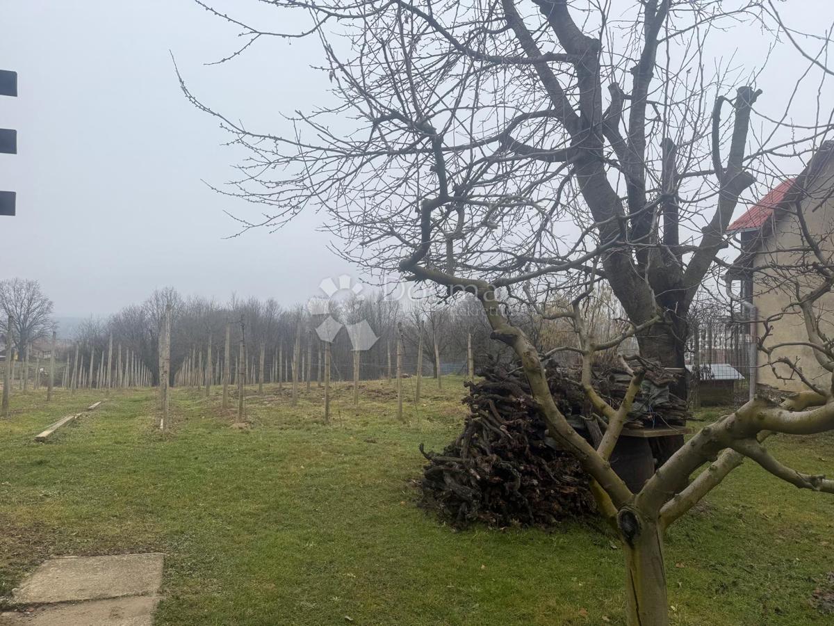 Hiša Na predaj - MEĐIMURSKA GORNJI MIHALJEVEC