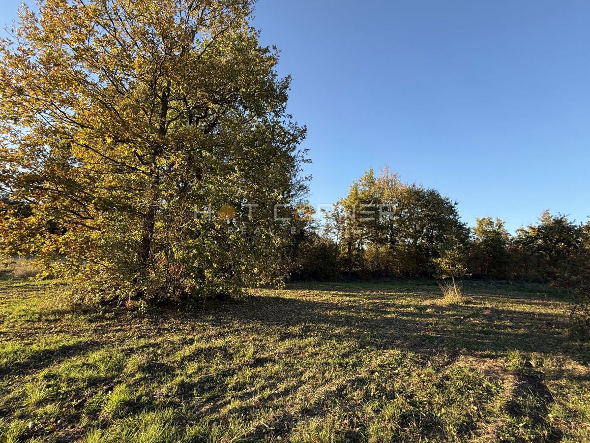 Land For sale - Istarska Barban - foto 1/14