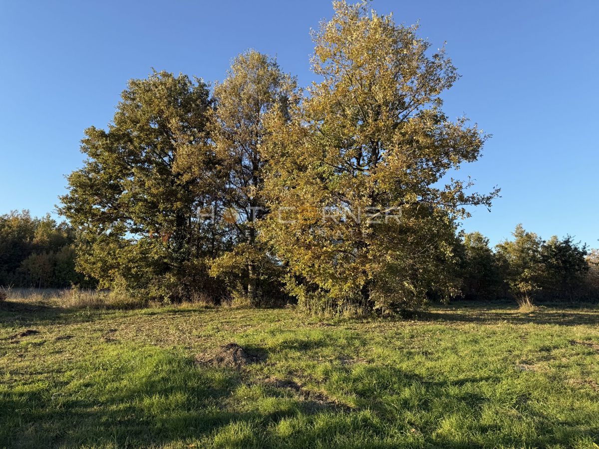 Land For sale - ISTARSKA BARBAN