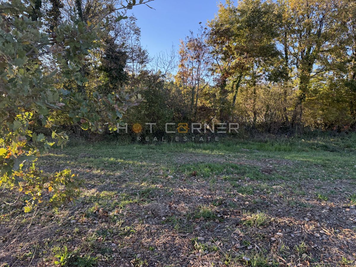 Land For sale - ISTARSKA BARBAN