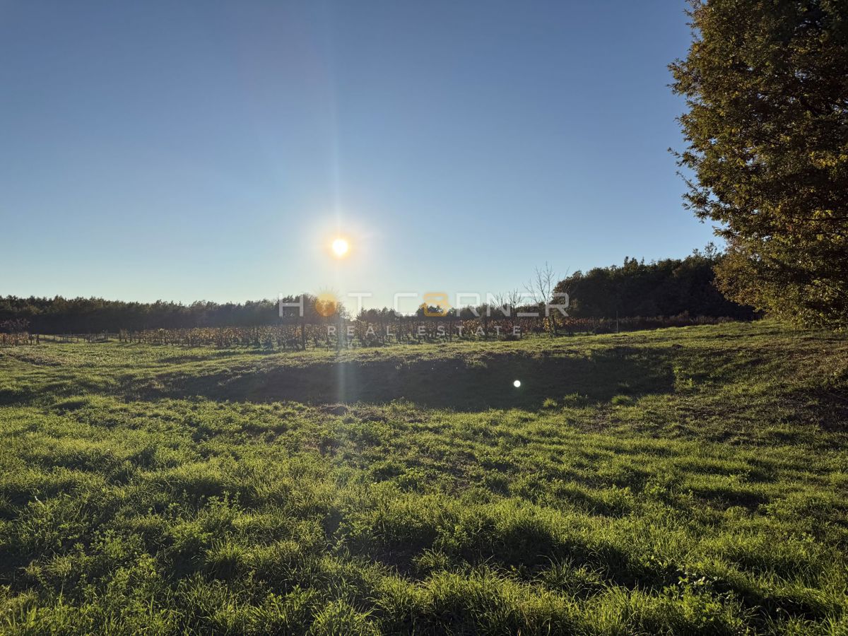 Land For sale - ISTARSKA BARBAN