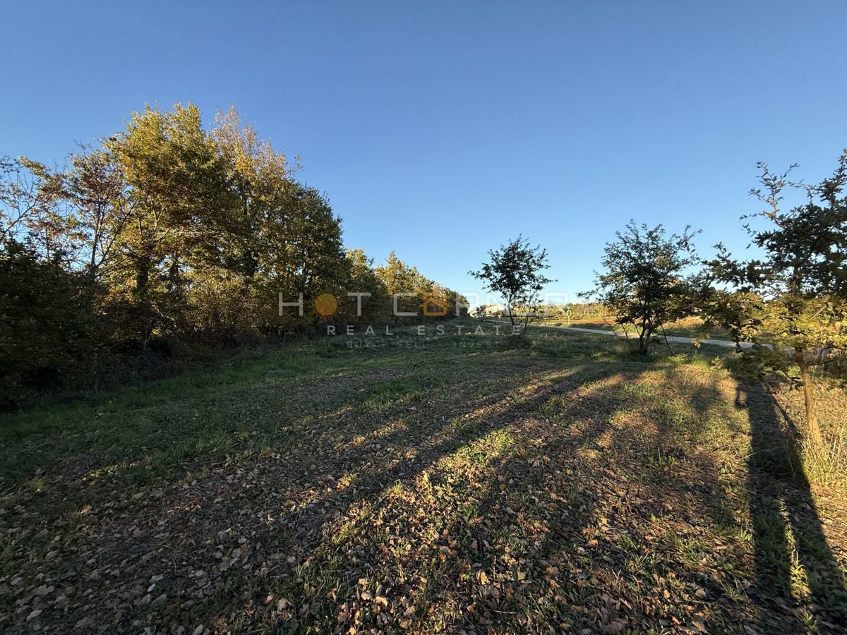 Land For sale - Istarska Barban - foto 4/14