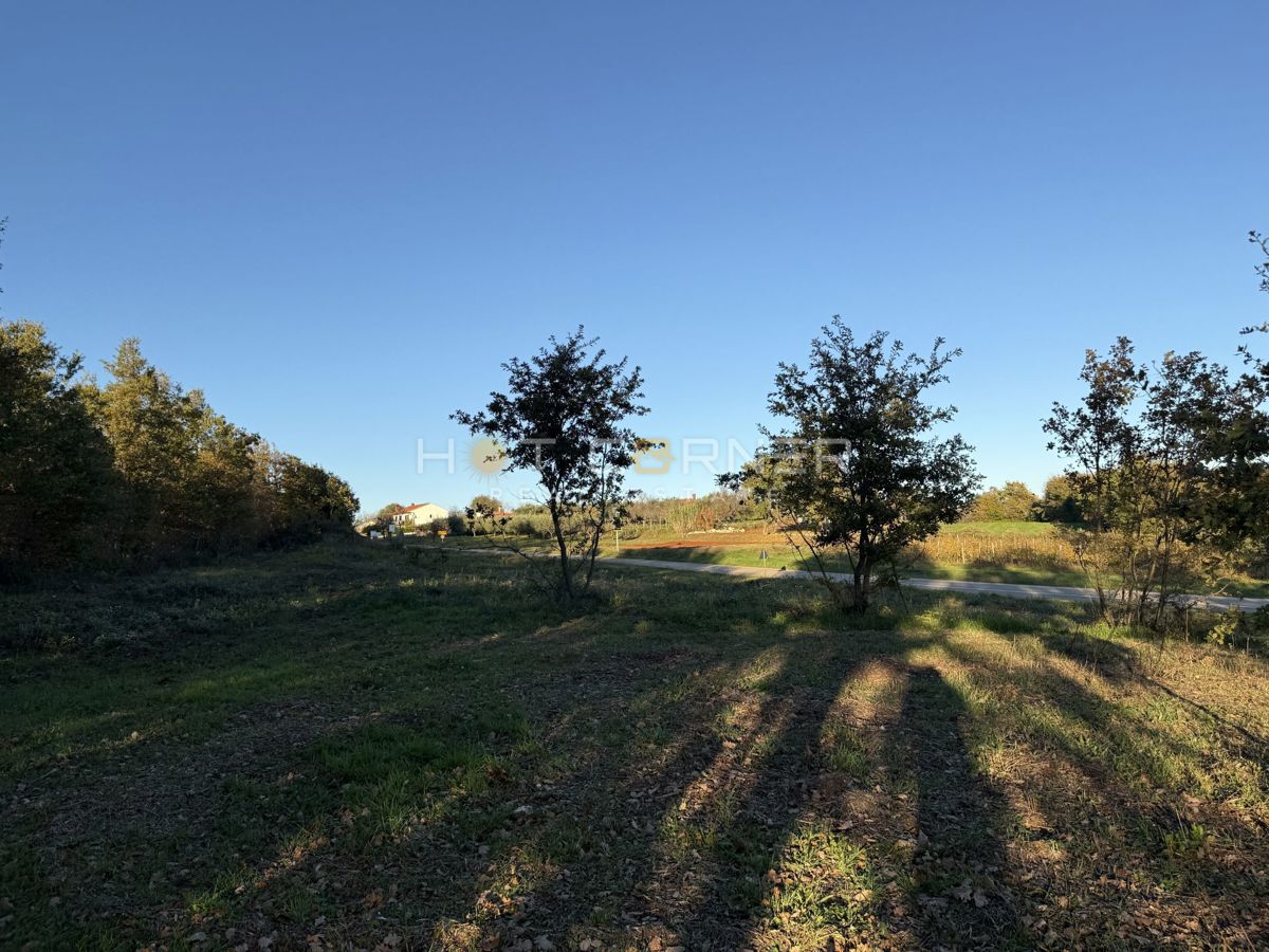 Land For sale - Istarska Barban - foto 5/14