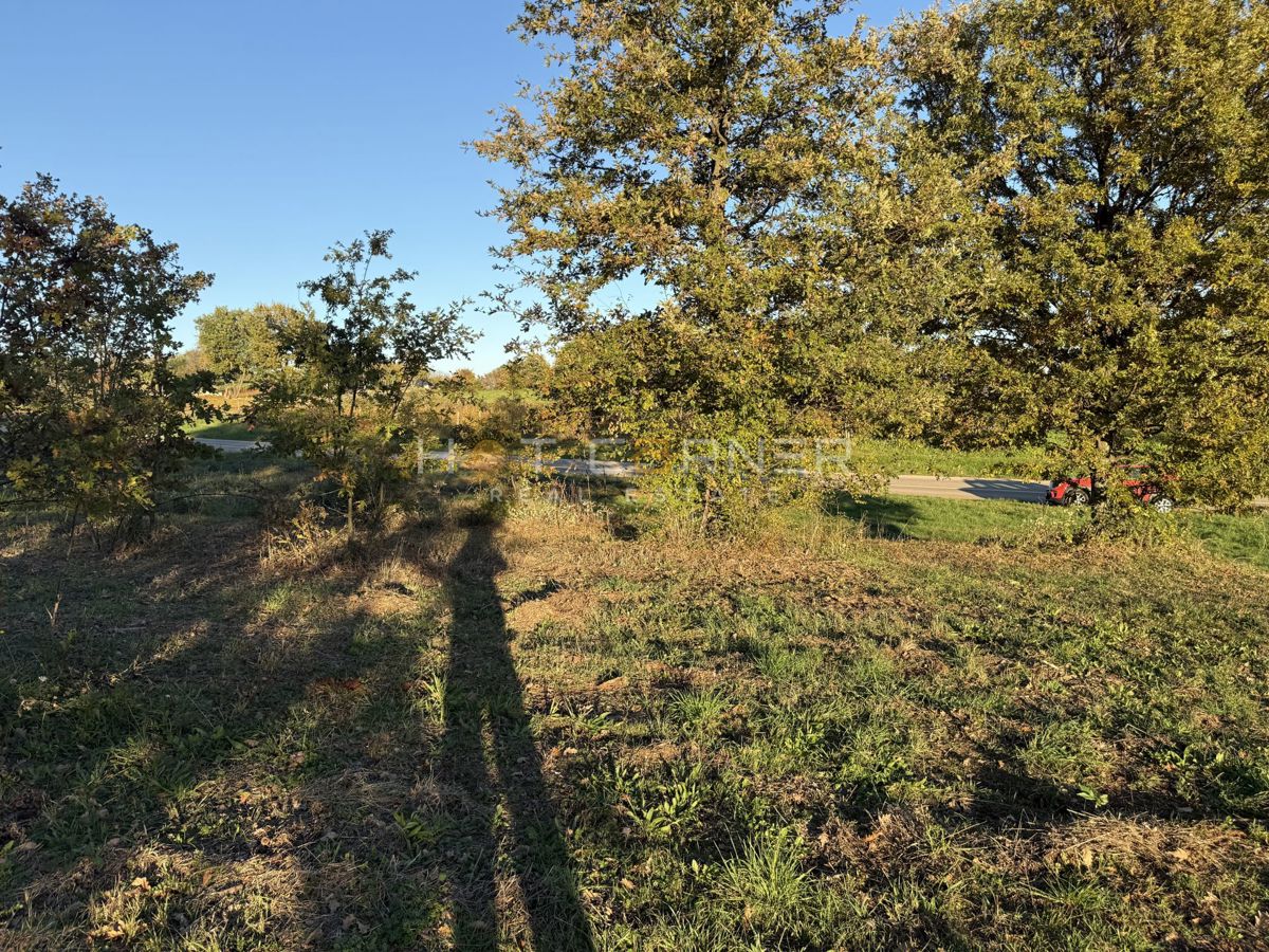 Land For sale - ISTARSKA BARBAN