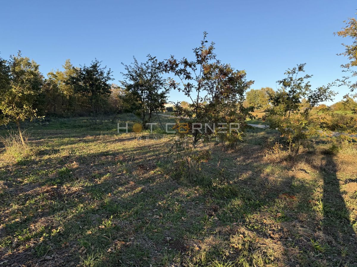 Land For sale - ISTARSKA BARBAN