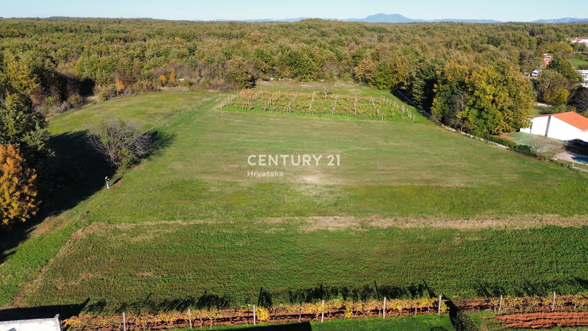 Land For sale - Istarska Svetvinčenat - foto 1/3
