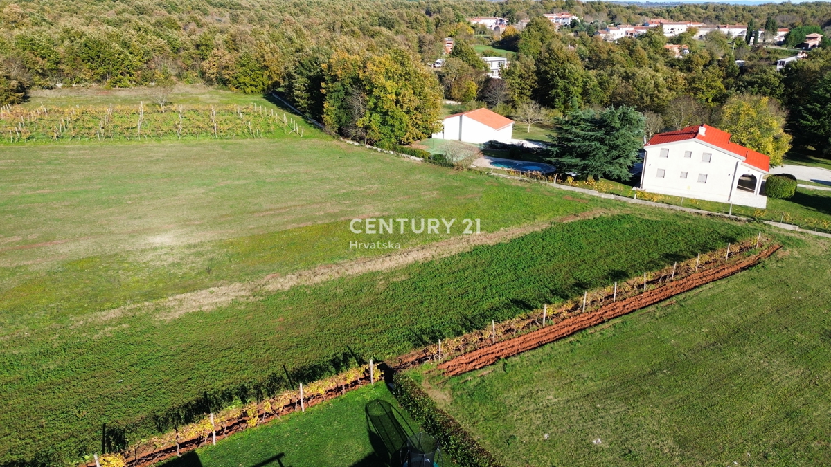 Land For sale - Istarska Svetvinčenat - foto 2/3