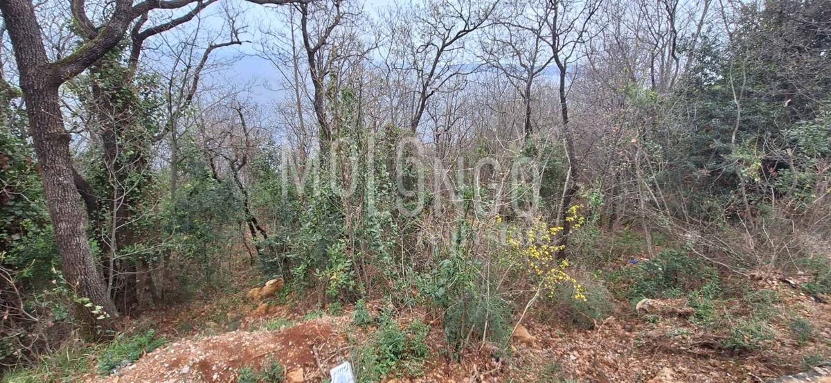 Land For sale - Primorsko-goranska Mošćenička Draga - foto 1/2