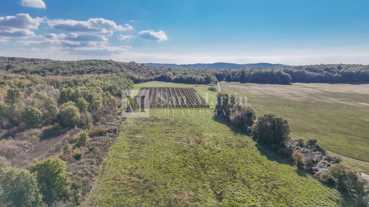 Zemljište Na prodaju - ISTARSKA POREČ