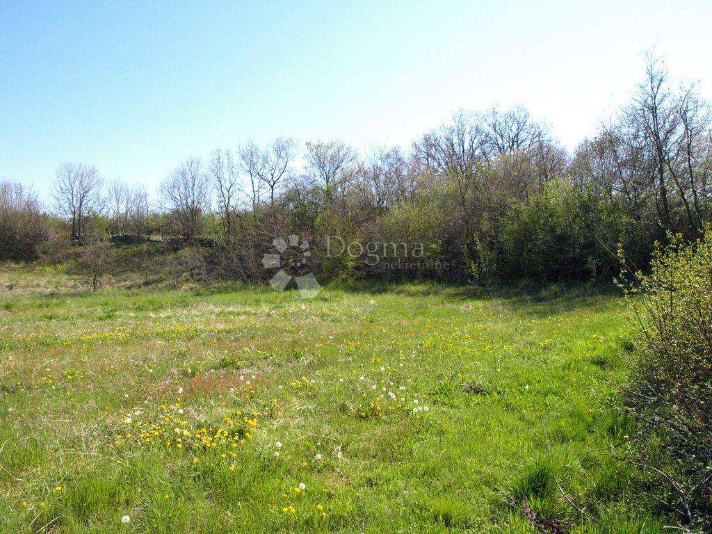 Terreno In vendita - Istarska Barban - foto 5/5