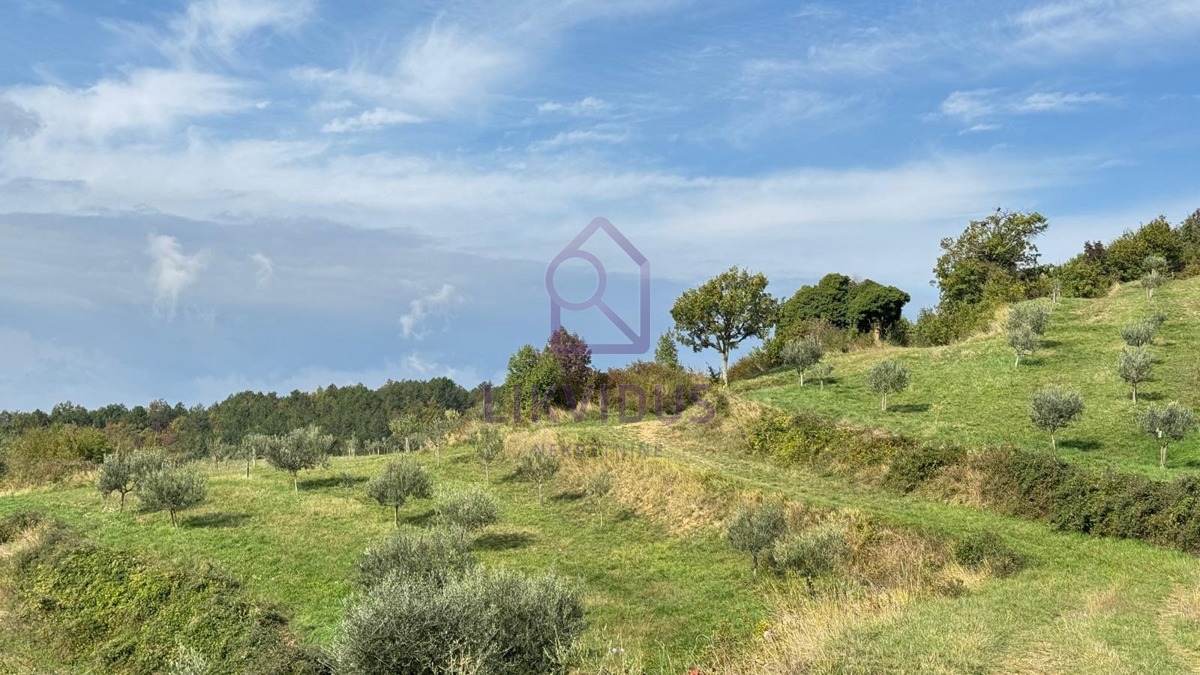 House For sale - ISTARSKA CEROVLJE