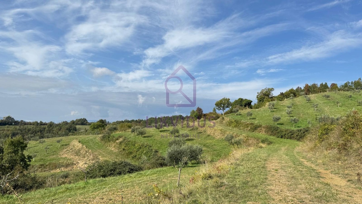 House For sale - ISTARSKA CEROVLJE