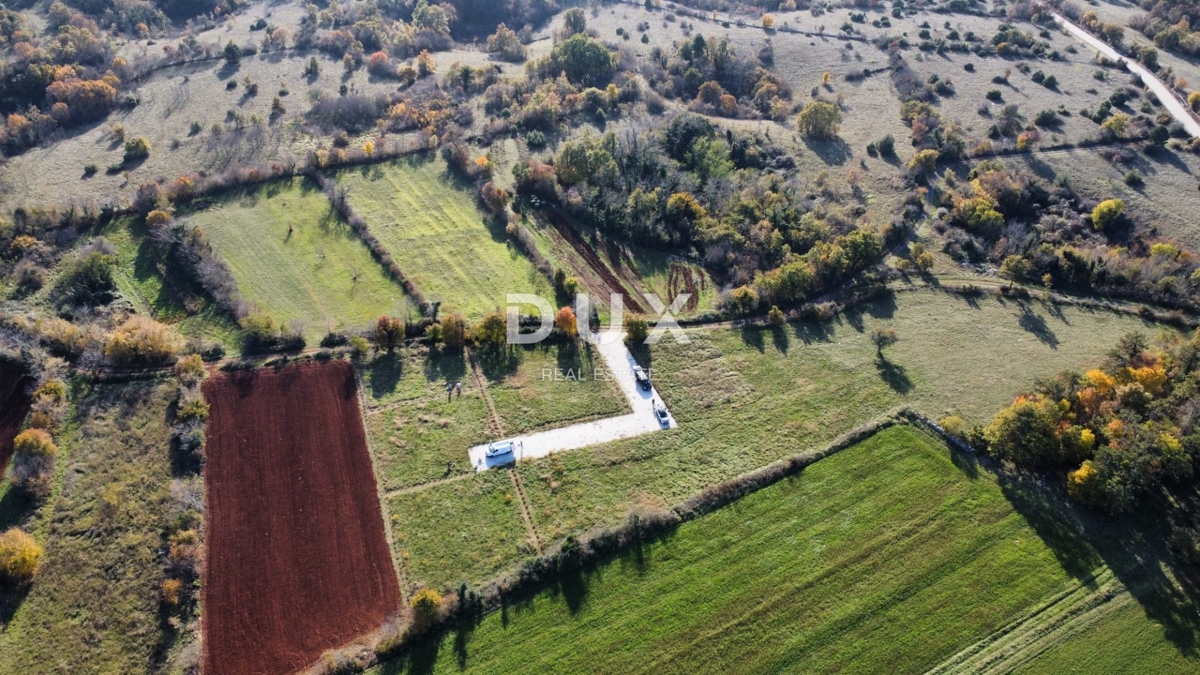 Pozemok Na predaj - Istarska žminj - foto 2/6