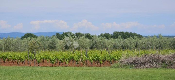 Land For sale - Istarska Marčana - foto 5/18
