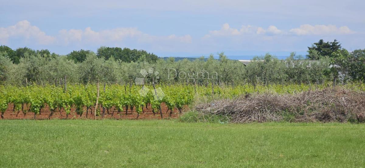 Pozemek Na prodej - ISTARSKA MARČANA