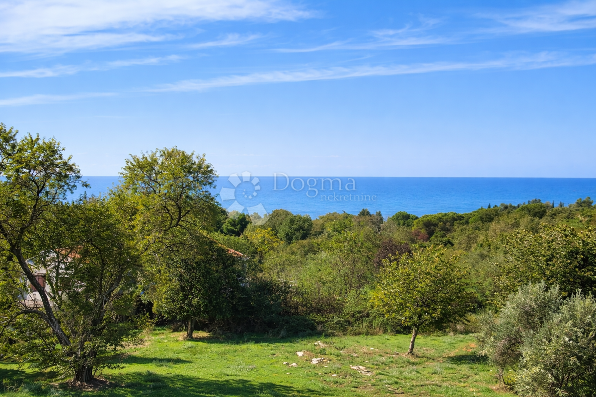 House For sale - Istarska Poreč - foto 4/34