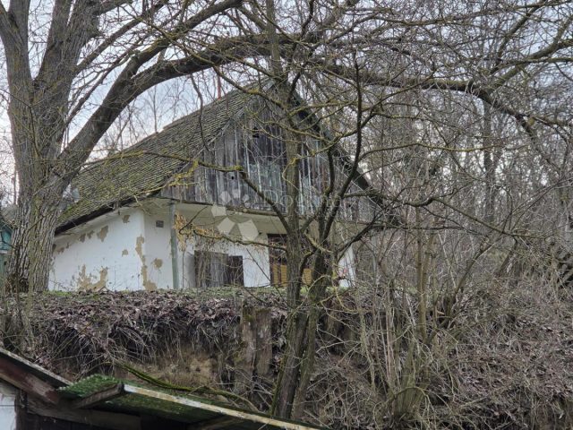 Land for sale 6534 m² – Draž
