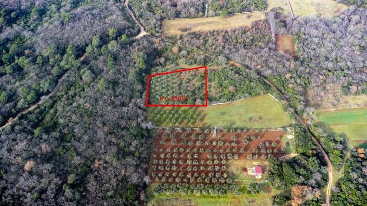 Land For sale - Istarska Vodnjan - foto 5/7
